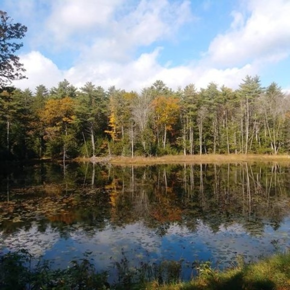 Meet your Posher, Janice - Picture 1 of 1